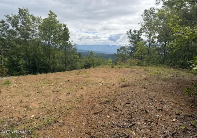 Photo 1 of Land for sale at 501a Cliff Top Trl, Andrews, NC 28901 | MLS# 100594258 | Listing updated on 2026-08-06