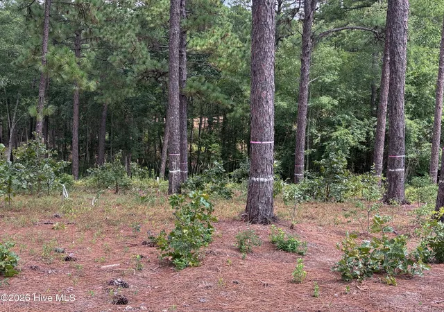 Photo 14 of Land for sale at 103 Haddington Dr, Pinehurst, NC 28374 | MLS# 100599533 | Listing updated on 2026-08-28