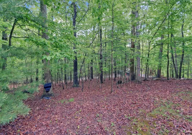 Photo 48 of Single family home for sale at 100 Carvers View Trl, Murphy, NC 28906 | MLS# 98544456 | Listing updated on 2026-07-22