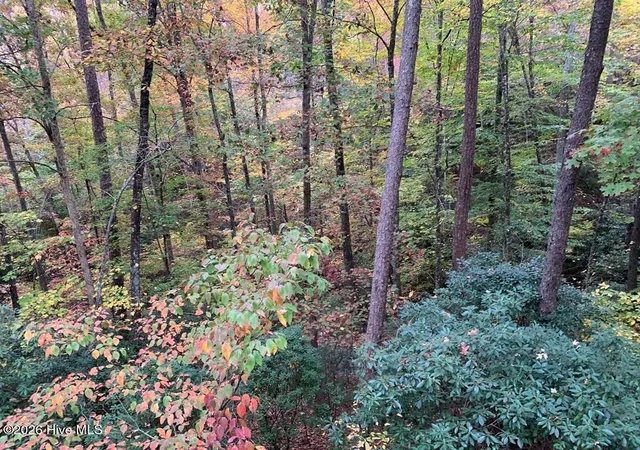 Photo 1 of Land for sale at 27 Laurel Ln, Topton, NC 28781 | MLS# 100595263 | Listing updated on 2026-08-14
