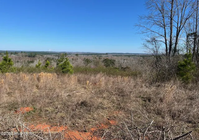 Photo 3 of Land for sale at 3557 Horseshoe Rd, Rockingham, NC 28379 | MLS# 100540865 | Listing updated on 2026-03-10