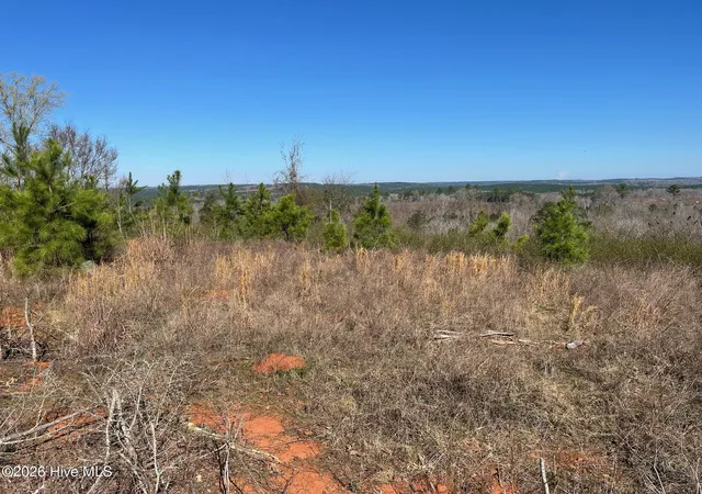 Photo 4 of Land for sale at 3557 Horseshoe Rd, Rockingham, NC 28379 | MLS# 100540865 | Listing updated on 2026-03-10