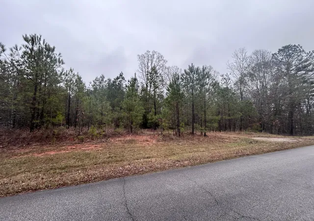 3rd image of 1956 Pineywoods Rd, Lincolnton, GA 30817 | MLS# 98254437