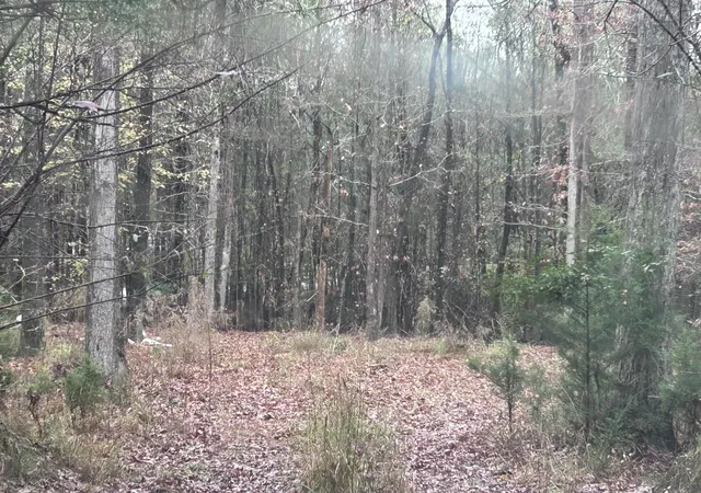 4th image of 1956 Pineywoods Rd, Lincolnton, GA 30817 | MLS# 98254437