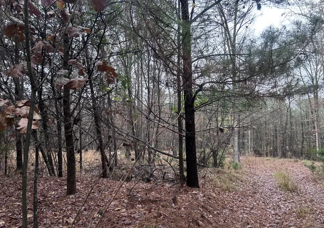 5th image of 1956 Pineywoods Rd, Lincolnton, GA 30817 | MLS# 98254437