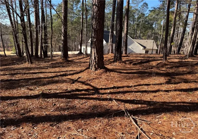 Homes for sale in Greensboro, GA | 1060 Forrest Highlands, Greensboro, GA 30642 | MLS# CL357941
