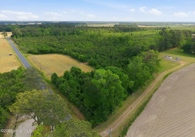 10th image of 2733 Jim Taylor Rd, Stokes, NC 27884 | MLS# 100569848