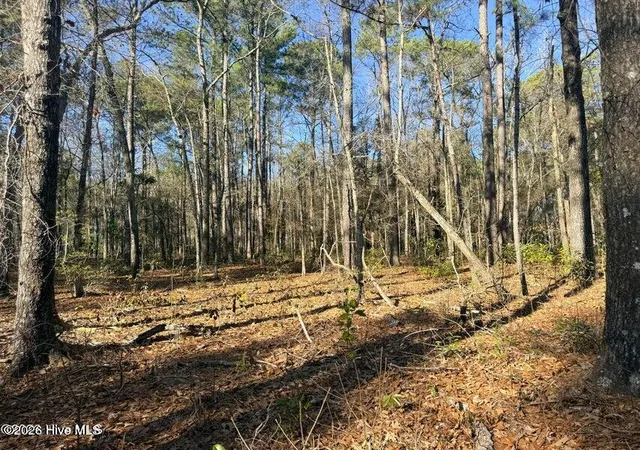 Homes for sale in Burgaw, NC | Lot 4 Peach Ct, Burgaw, NC 28425 | MLS# 100568969