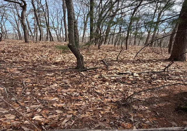 Photo 3 of Land for sale at 34 Panorama Dr, Murphy, NC 28906 | MLS# 98544565 | Listing updated on 2026-06-29
