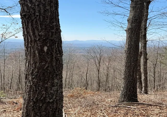 Photo 4 of Land for sale at 34 Panorama Dr, Murphy, NC 28906 | MLS# 98544565 | Listing updated on 2026-06-29