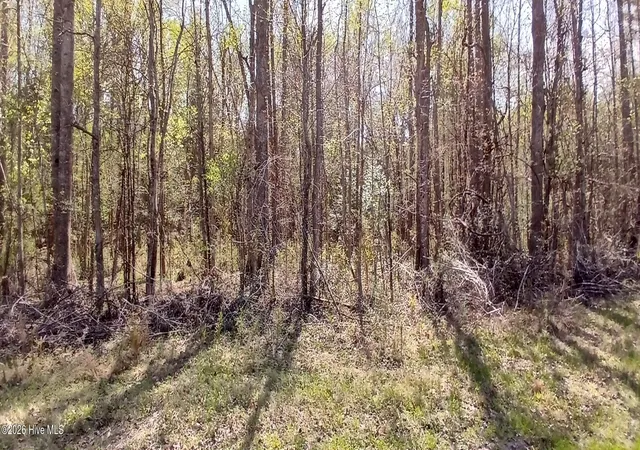 4th image of D07-3 Wood Landing Rd, Grantsboro, NC 28529 | MLS# 100567247