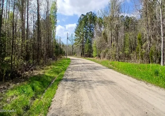 5th image of D07-3 Wood Landing Rd, Grantsboro, NC 28529 | MLS# 100567247