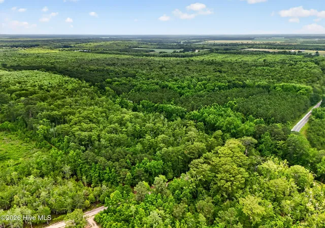 Homes for sale in Roper, NC | Tbd Pea Ridge Rd, Roper, NC 27970 | MLS# 100585528
