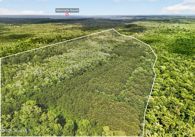 Homes for sale in Roper, NC | Tbd Pea Ridge Rd, Roper, NC 27970 | MLS# 100585528