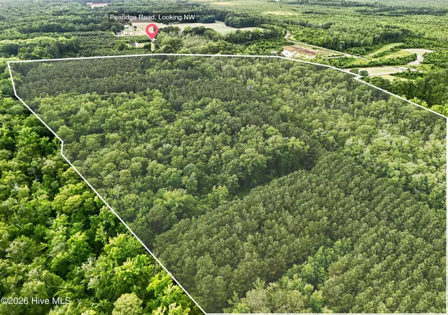 Homes for sale in Roper, NC | Tbd Pea Ridge Rd, Roper, NC 27970 | MLS# 100585528