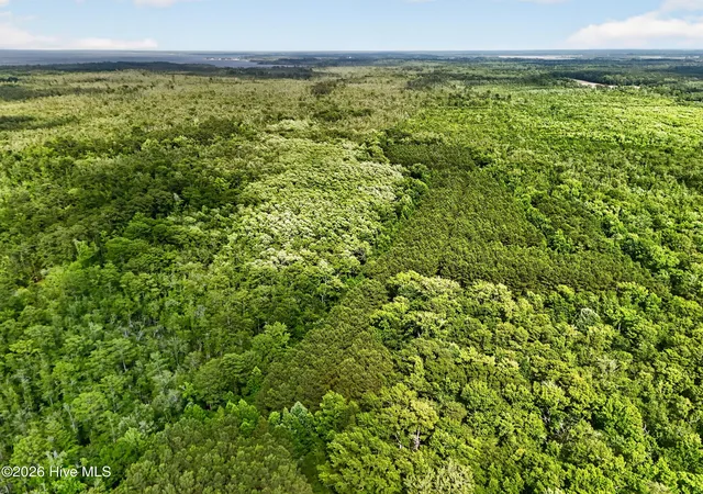 Homes for sale in Roper, NC | Tbd Pea Ridge Rd, Roper, NC 27970 | MLS# 100585528