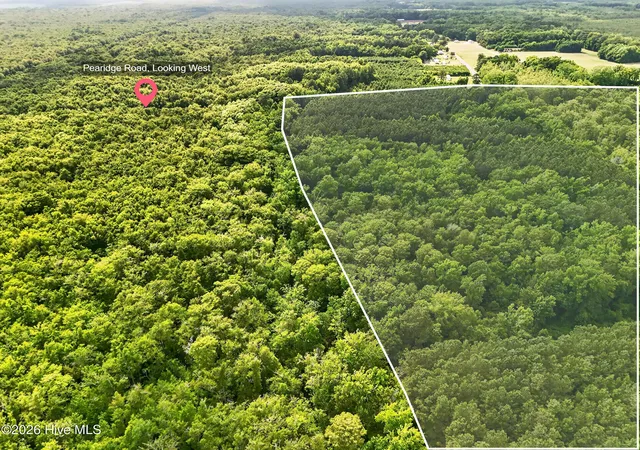 Homes for sale in Roper, NC | Tbd Pea Ridge Rd, Roper, NC 27970 | MLS# 100585528