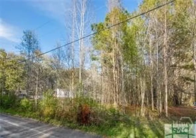 Homes for sale in Midway, GA | 0 Marie, Lot 2 Marie Ave, Midway, GA 31320 | MLS# SA352826