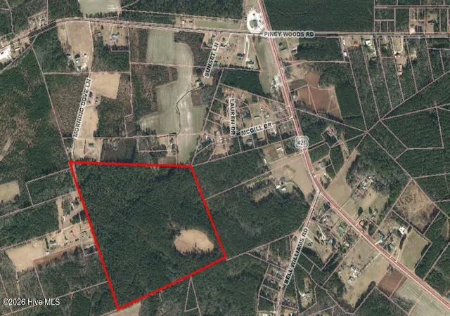 Photo 2 of Land for sale at 6260 Morning Dove Ln, Willard, NC 28478 | MLS# 100595551 | Listing updated on 2026-08-11