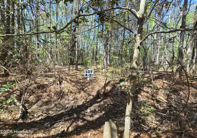 3rd image of Lot A-31 Renee Dr, Hampstead, NC 28443 | MLS# 100567138