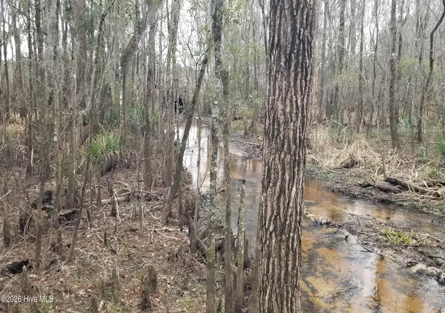 Photo 3 of Land for sale at 3120 Highmarket St, Georgetown, SC 29440 | MLS# 100553618 | Listing updated on 2026-08-31