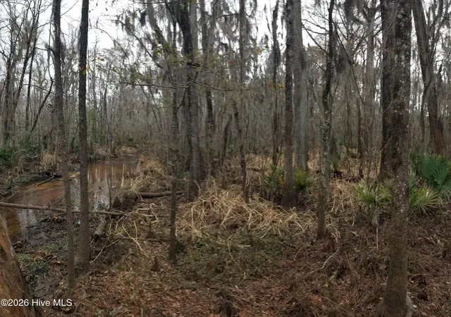 Photo 3 of Land for sale at 3120 Highmarket St, Georgetown, SC 29440 | MLS# 100553618 | Listing updated on 2026-08-31