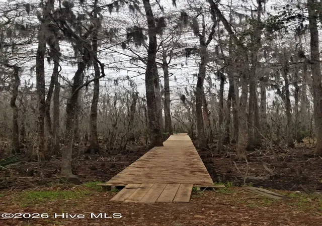 Photo 4 of Land for sale at 3120 Highmarket St, Georgetown, SC 29440 | MLS# 100553618 | Listing updated on 2026-08-31