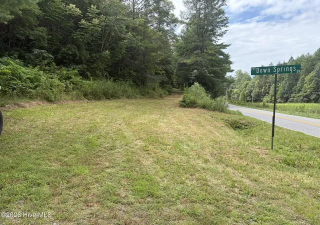 Photo 2 of Land for sale at 0 Dl Springs Dr, Murphy, NC 28906 | MLS# 100590922 | Listing updated on 2026-07-23