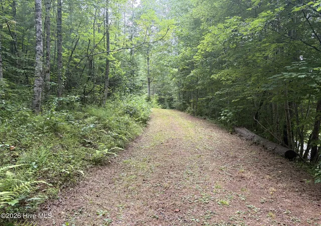 Photo 3 of Land for sale at 0 Dl Springs Dr, Murphy, NC 28906 | MLS# 100590922 | Listing updated on 2026-07-23