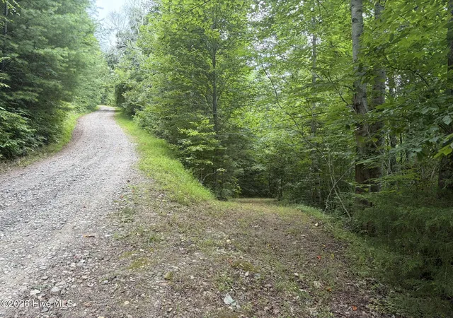 Photo 4 of Land for sale at 0 Dl Springs Dr, Murphy, NC 28906 | MLS# 100590922 | Listing updated on 2026-07-23
