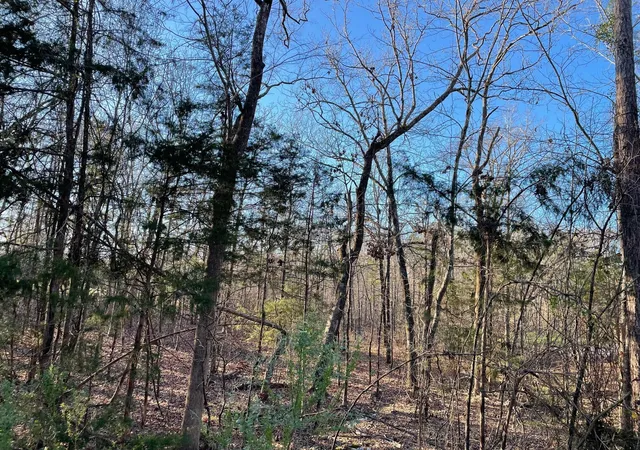 4th image of Lot 22 Plantation Point, Lincolnton, GA 30817 | MLS# 98224161