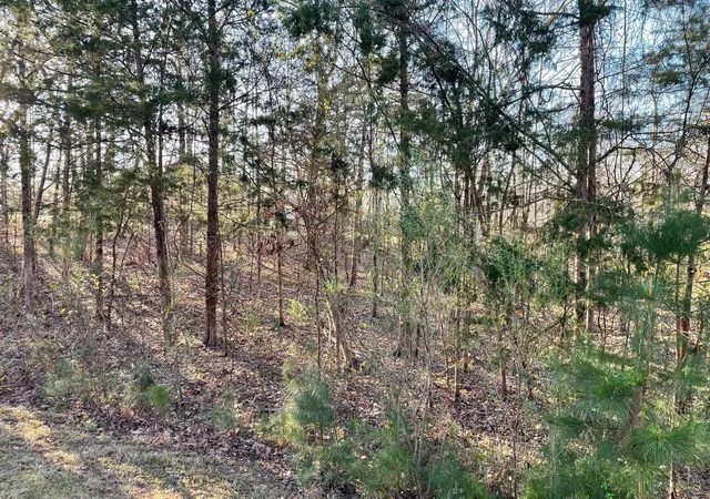 5th image of Lot 22 Plantation Point, Lincolnton, GA 30817 | MLS# 98224161