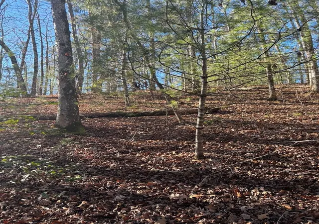 Photo 2 of Land for sale at 103 Deep Forest Rd, Murphy, NC 28906 | MLS# 98518891 | Listing updated on 2026-06-01