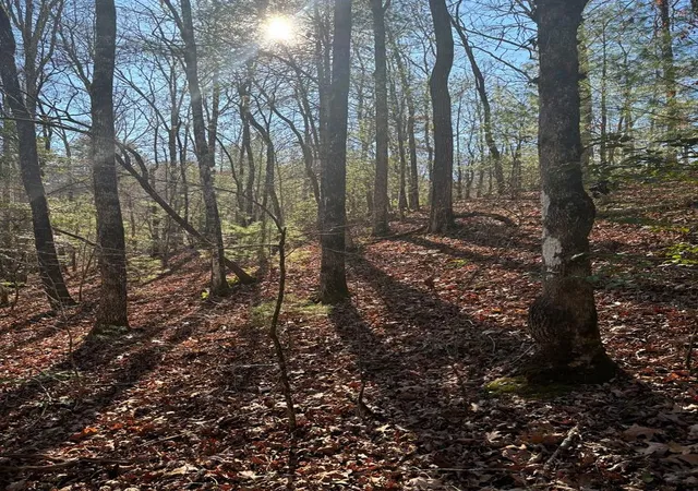 Photo 3 of Land for sale at 103 Deep Forest Rd, Murphy, NC 28906 | MLS# 98518891 | Listing updated on 2026-06-01