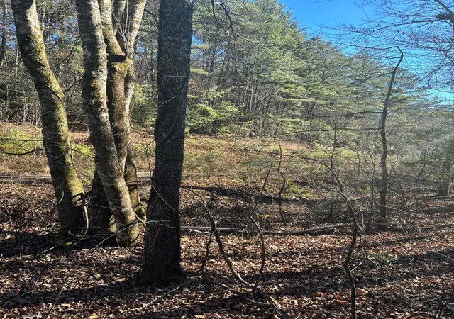 Photo 3 of Land for sale at 103 Deep Forest Rd, Murphy, NC 28906 | MLS# 98518891 | Listing updated on 2026-06-01