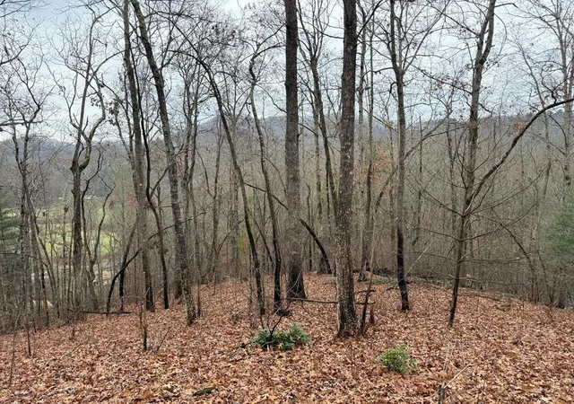 Photo 1 of Land for sale at 0 Flaming Ridge, Hayesville, NC 28904 | MLS# 98525039 | Listing updated on 2026-06-01
