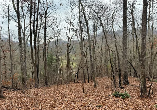 Photo 2 of Land for sale at 0 Flaming Ridge, Hayesville, NC 28904 | MLS# 98525039 | Listing updated on 2026-06-01