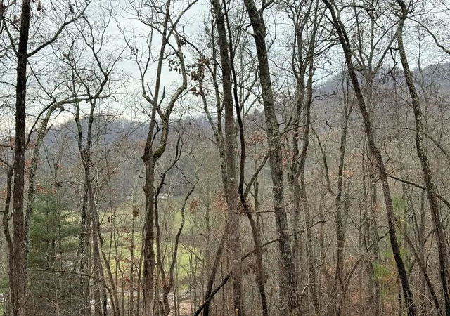 Photo 4 of Land for sale at 0 Flaming Ridge, Hayesville, NC 28904 | MLS# 98525039 | Listing updated on 2026-06-01