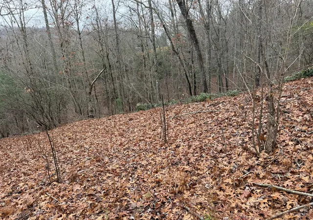 Photo 5 of Land for sale at 0 Flaming Ridge, Hayesville, NC 28904 | MLS# 98525039 | Listing updated on 2026-06-01