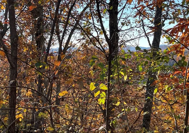 Homes for sale in Hayesville, NC | Lot 37m Ridges, Hayesville, NC 28904 | MLS# 98524153