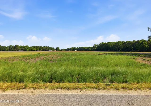 Homes for sale in Mount Olive, NC | 1152 Waller Rd, Mount Olive, NC 28365 | MLS# 100586711