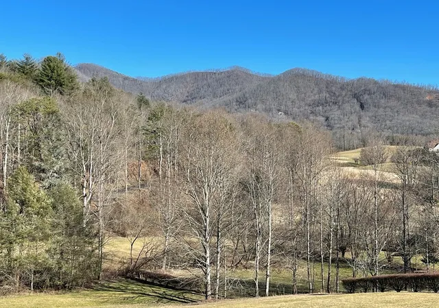 Homes for sale in Hayesville, NC | Lot 21C Ash Branch Cir, Hayesville, NC 28904 | MLS# 98544075