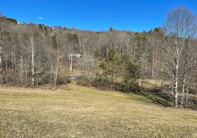Homes for sale in Hayesville, NC | Lot 21C Ash Branch Cir, Hayesville, NC 28904 | MLS# 98544075