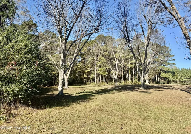 1st image of 0 Near 4294 James B Wh, Whiteville, NC 28472 | MLS# 100541845