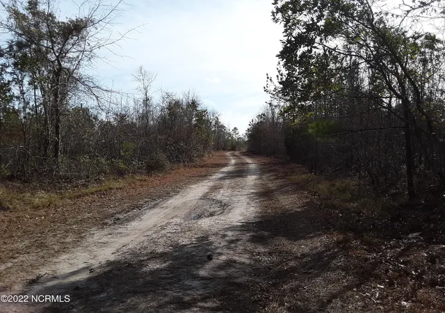 Photo 4 of Land for sale at D08-66 John Pollock Rd, Grantsboro, NC 28529 | MLS# 100320497 | Listing updated on 2026-06-01