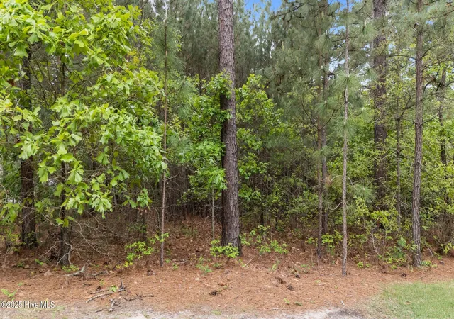 Homes for sale in West End, NC | 113 Baker Cir, West End, NC 27376 | MLS# 100571094