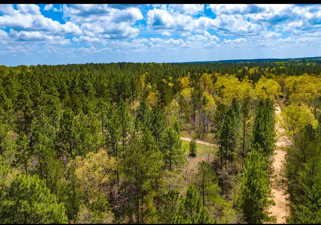Homes for sale in Wagener, SC | Lot 4 Bluffwood Rd, Wagener, SC 29164 | MLS# 98224438