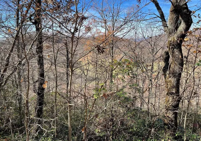 Homes for sale in Hayesville, NC | Lot 31j Ash Branch Rd, Hayesville, NC 28904 | MLS# 98543481