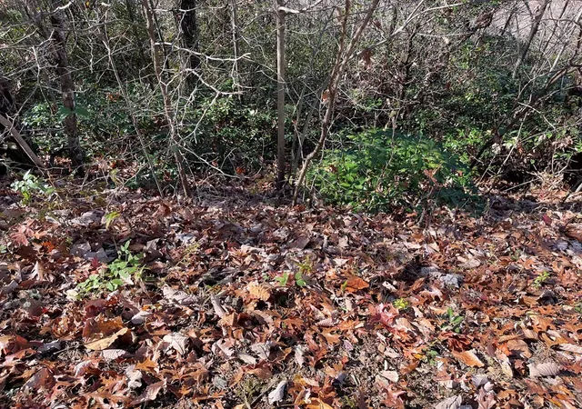 Homes for sale in Hayesville, NC | Lot 31j Ash Branch Rd, Hayesville, NC 28904 | MLS# 98543481