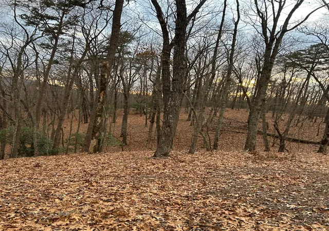Photo 3 of Land for sale at 0 Tracks Holw, Murphy, NC 28906 | MLS# 98543897 | Listing updated on 2026-10-01